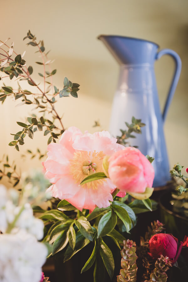 Rosen und Geschwister - neben Hotel Hirsch, Füssen, Allgäu - Blumen, Pflanzen, Schönes - Pfingstrose